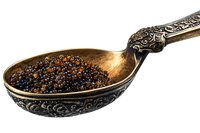 Black caviar in ornate vintage silver spoon with decorative handle on white background, luxury gourmet delicacy.
