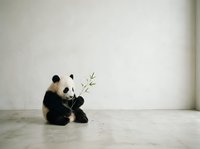 Cute baby giant panda sitting on floor holding bamboo branch against light gray wall with copy space for wildlife and nature themes.