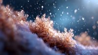 Delicate frost crystals forming intricate patterns on winter surface with soft bokeh lights and blurred blue background, macro nature photography.