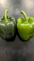 Fresh green bell peppers, dark and light varieties side by side on black surface, showcasing vibrant colors and glossy texture for cooking ingredients.