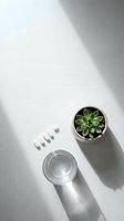 Minimalist flat lay with green succulent plant in pot, glass of water and white pills on clean surface with natural shadow for wellness concepts.