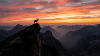Lone mountain goat silhouette standing on rocky cliff edge against dramatic orange sunset sky over layered mountain ranges creating inspiring wilderness scene.