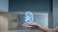Human hand holding glowing kidney hologram with sparkling particles in modern medical office environment for healthcare technology concepts.