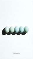 Five pastel mint green Easter eggs arranged in a row on white background with dramatic shadows, minimalist spring holiday concept.