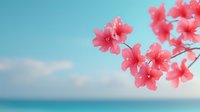 Pink delicate flowers against blurred turquoise sky background with soft white clouds, creating dreamy spring atmosphere and romantic mood.