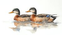 Pair of mallard ducks swimming in calm water, watercolor style artwork showing detailed feathers and reflections in soft natural tones and gentle brushstrokes.