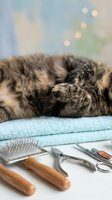 Tortoiseshell cat resting on soft blue towels beside grooming tools including brush, nail clippers, and scissors for pet care.