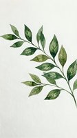 Watercolor botanical illustration of green leafy branches isolated on white background, suitable for design projects, wall art, and decorative applications.