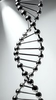 Metallic DNA double helix molecular structure model with spheres and connecting rods on white background, suitable for genetics, science, education, and medical research presentations.