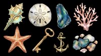 Watercolor seashells, starfish, sand dollars, coral, and nautical elements isolated on transparent background. Ready for t-shirt designs, clipart, stickers, sublimation, and print-on-demand products.