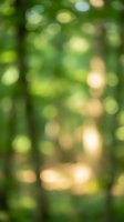 Natural green bokeh background with soft blurred lights from forest foliage creating dreamy out of focus effect for spring and summer design projects.