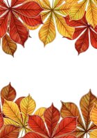 Autumn foliage frame with red and golden leaves isolated on white background, ready for seasonal designs, greeting cards, and fall-themed projects.