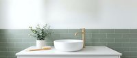 Minimalist bathroom vanity with white round vessel sink, brass faucet, and potted fern plant on marble countertop against green subway tile wall.