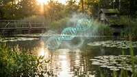 DNA double helix structure floating above serene pond at sunset with lily pads and wooden dock creating peaceful biotechnology concept for scientific research.
