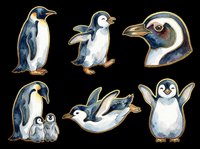 Watercolor penguin sticker set isolated on transparent background, featuring adult and baby penguins in various poses, ready for t-shirt design, clipart, and print on demand.