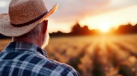 Senior farmer in straw hat looking at golden wheat field during sunset, symbolizing agriculture, harvest season, and rural lifestyle.