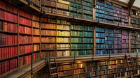 Organized library shelves displaying colorful books arranged by color spectrum from red through purple, with wooden ladder and reading tables for education and literature research.