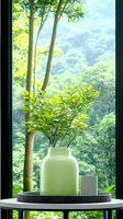 Green plant in ceramic vase on round table by window overlooking lush forest landscape, creating serene minimalist home decor atmosphere with natural light.
