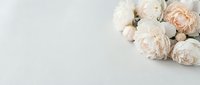 Soft pink and white peonies arranged on light gray background with copy space for wedding invitations, romantic greeting cards, and feminine branding designs.