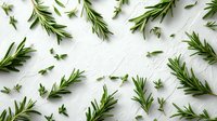 Fresh rosemary sprigs scattered on white wooden background. Aromatic herb pattern for culinary, cooking, natural medicine and organic food concepts.