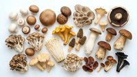 Assorted fresh mushroom varieties including shiitake, oyster, portobello, chanterelle, morel and enoki arranged on white background for culinary cooking.
