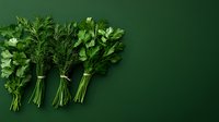 Fresh bunches of dill, parsley and cilantro herbs arranged on dark green background. Culinary aromatic greens for cooking and garnishing dishes.