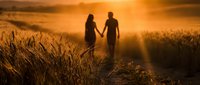Romantic couple holding hands walking through golden wheat field at sunset with warm sunlight creating silhouettes and peaceful countryside atmosphere.