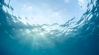 Underwater view looking up towards bright sunlight penetrating ocean surface with rays of light streaming through clear blue water creating peaceful aquatic scene.