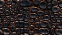 Dark brown crocodile leather texture with distinctive scales and natural pattern. Luxurious exotic animal skin surface showing detailed reptilian structure.