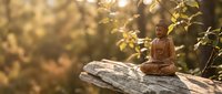Small bronze Buddha statue in meditation pose on weathered wooden surface with warm golden sunlight filtering through green foliage creating peaceful zen atmosphere.