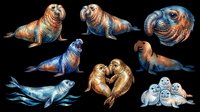 Watercolor walrus and seal clipart set, isolated on transparent background. Great for stickers, t-shirt design, print on demand, sublimation, and digital crafts.