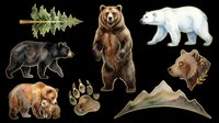 Watercolor bear clipart set with grizzly, black bear, polar bear, cub, paw print, mountains, and pine tree, isolated on transparent background for stickers, t-shirts, print on demand.