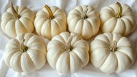 White mini pumpkins arranged in neat rows on light background, showing natural texture and autumn harvest aesthetic. Fresh seasonal gourds for fall decoration.