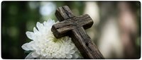 Weathered wooden cross with white chrysanthemum flower against soft blurred background for memorial, funeral, religious ceremony or spiritual remembrance concept.