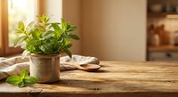 Fresh green basil plant in rustic pot on wooden kitchen counter with warm sunlight streaming through window creating cozy cooking atmosphere.