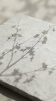Delicate plant shadows cast on white textured surface, creating soft botanical silhouettes for minimalist design and artistic backgrounds.