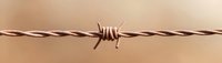 Close up view of rusty barbed wire strand against soft brown background, symbolizing boundary, restriction and security concepts in minimalist composition.