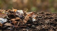 Organic compost pile with decomposing autumn leaves and rich dark soil creating natural fertilizer for sustainable gardening and agriculture practices.