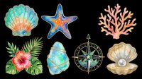 Watercolor ocean clipart set with seashells, starfish, coral, compass rose, tropical leaves and hibiscus, isolated on transparent background, ready for stickers, t-shirt design, print on demand.