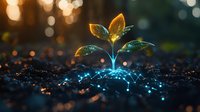 Young plant seedling growing in soil with digital network illumination at sunset, symbolizing agricultural technology and sustainable farming innovation.