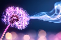 Glowing dandelion with flowing smoke effect against dark background, magical pink and blue colors create dreamy atmosphere with soft bokeh lights.