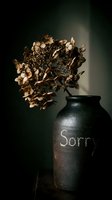 Dried hydrangea in a dark ceramic vase with the word Sorry written in chalk, moody still life conveying apology and melancholy.
