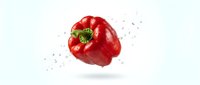 Red bell pepper with water droplets and splashing effect isolated on white background, suitable for food, cooking, nutrition and healthy eating designs.