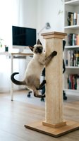 Siamese cat climbing sisal scratching post in modern home office with computer desk, bookshelf, and wooden flooring.