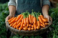 Farmer in denim apron holding rustic wooden basket filled with fresh organic carrots, harvested from garden, perfect for healthy cooking.