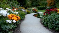 Winding garden path through vibrant flower beds with orange, white and burgundy chrysanthemums, creating peaceful autumn scenery in landscaped park setting.