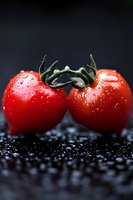 Fresh ripe tomatoes with water drops on dark background, macro shot showing detailed texture and natural moisture for food photography and marketing.