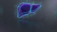 Glowing neon liver organ with blue and purple light effects on dark background for medical education and healthcare presentations.