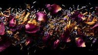 Dried rose petals and lavender buds scattered on dark background creating romantic floral composition with dramatic lighting and shadows.