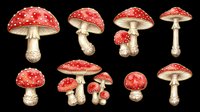 Watercolor fly agaric mushroom set isolated on transparent background, ready for stickers, t-shirt design, print on demand, sublimation, and clipart use.